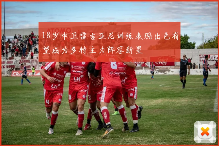 18岁中卫雷吉亚尼训练表现出色有望成为多特主力阵容新星