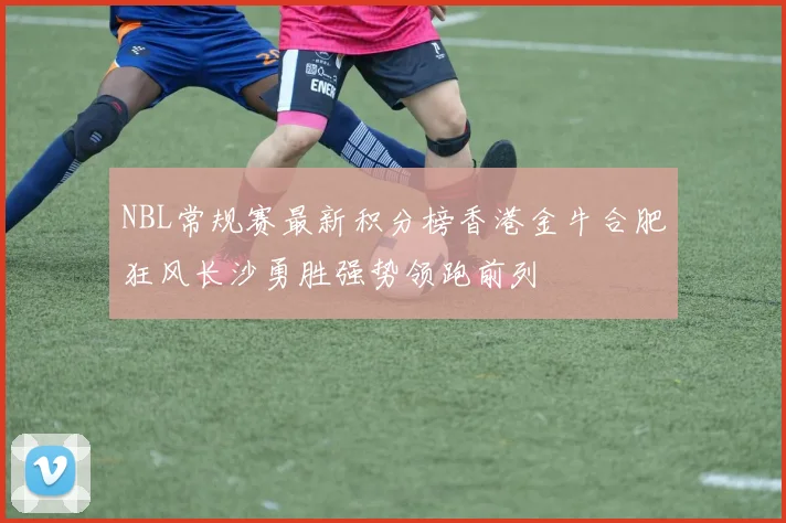 NBL常规赛最新积分榜香港金牛合肥狂风长沙勇胜强势领跑前列