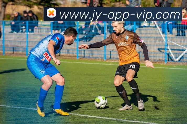 九游娱乐平台生态图